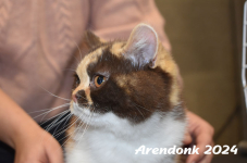 Arendonk 2024 112