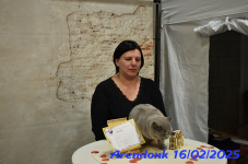 DSC 0234