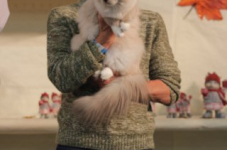 antw 2015 274