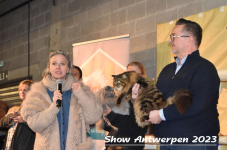 Schow Antwerpen 2023 435