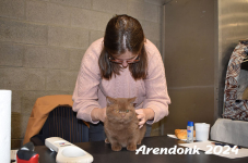 Arendonk 2024 070