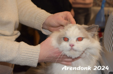 Arendonk 2024 154