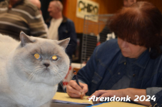 Arendonk 2024 329