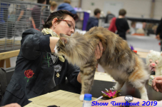 turnhout 2019-0281