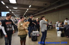 Antwerpen 2019DSC 0146