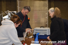 Schow Antwerpen 2023 053