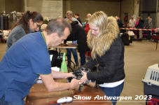 Schow Antwerpen 2023 050