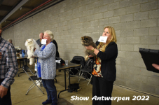 Antwerp 2022240