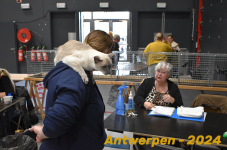 Antwerpen 171
