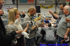 turnhout 2019-0196