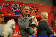 turnhout 2019-0128