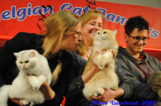 turnhout 2019-0212