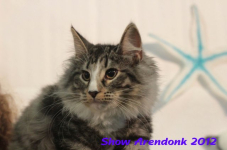 arendonk 2012 334