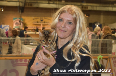 Schow Antwerpen 2023 268