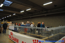antwerp 2018 0415