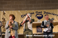 Antwerp 2022343