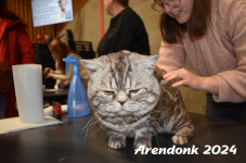 Arendonk 2024 115