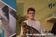 Schow Antwerpen 2023 370
