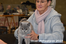 Schow Antwerpen 2023 212