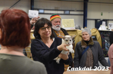 Laakdal 2023 425