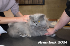 Arendonk 2024 125