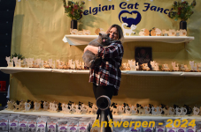 Antwerpen 216