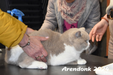 Arendonk 2024 036