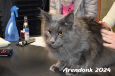 Arendonk 2024 084