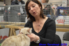 turnhout 2019-0303