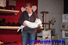 bcf antw 2010 180