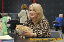 Antwerpen 253