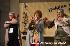 Antwerp 2022353
