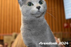 Arendonk 2024 117