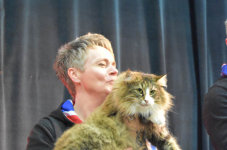Katttenshow Arendonk 2020 DSC 0689