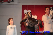 bcf antw 2010 251