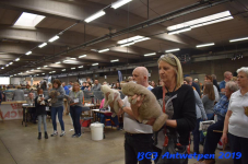 Antwerpen 2019DSC 0356