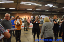 Antwerpen 2019DSC 0412