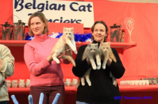 bcfturnhout 2014 0295