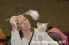 Schow Antwerpen 2023 249