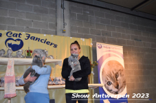 Schow Antwerpen 2023 351