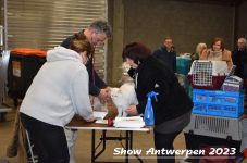 Schow Antwerpen 2023 049