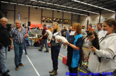 turnhout 2019-0203