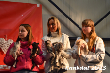 Laakdal 2023 243