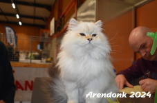 Arendonk 2024 407