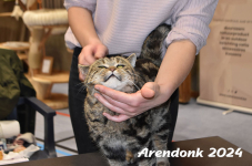 Arendonk 2024 136