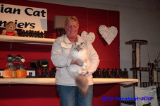 bcf antw 2010 210