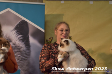 Schow Antwerpen 2023 395