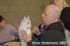 Schow Antwerpen 2023 140