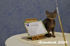 Arendonk 2024 567