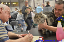 turnhout 2019-0288